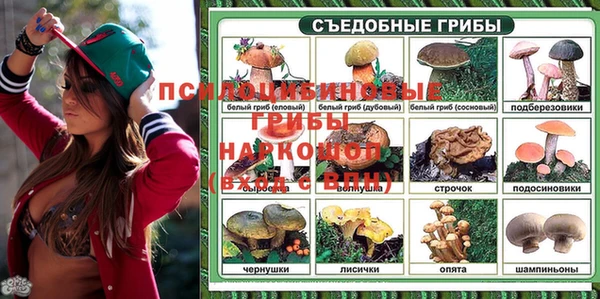 ALPHA PVP Инсар