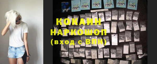 ALPHA PVP Инсар