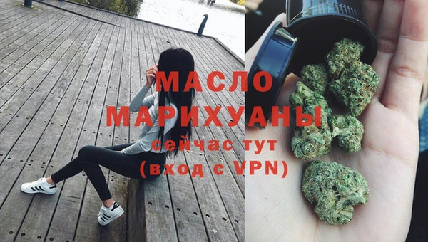 мет Инта