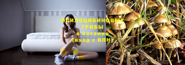 дмт Иннополис