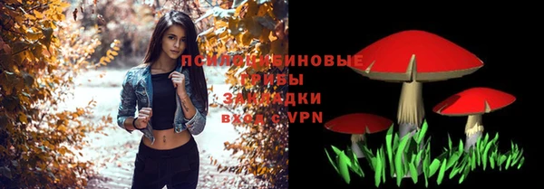 мет Инта