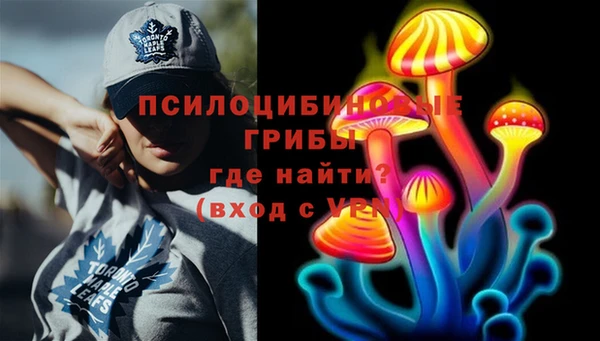 ALPHA PVP Инсар
