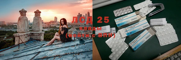 ALPHA PVP Инсар
