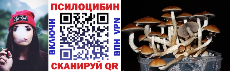 Купить  Дивногорск  Псилоцибиновые грибы Cubensis 
